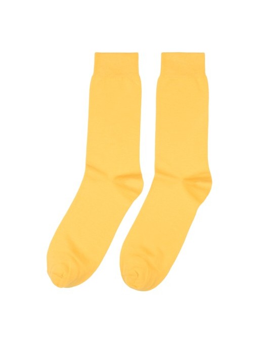 Colourway Canario